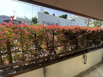 【展望】 | ペガサス鷺宮
