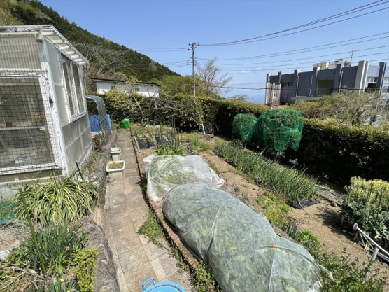 【庭】 | エンゼルフォレスト伊豆熱川別荘地　戸建