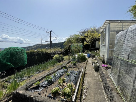 【庭】 | エンゼルフォレスト伊豆熱川別荘地　戸建