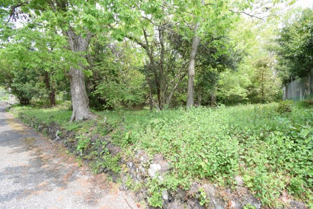 【外観】 | すいらん荘別荘地　売地