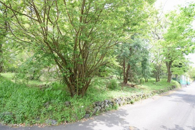 【外観】 | すいらん荘別荘地　売地