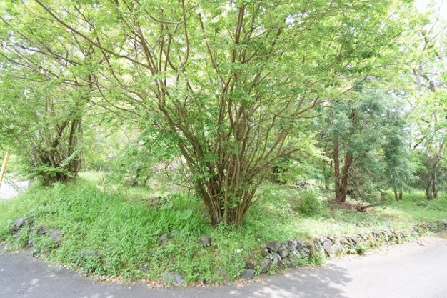 【外観】 | すいらん荘別荘地　売地