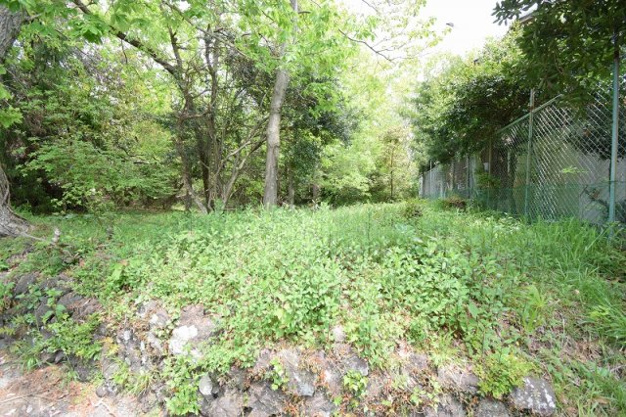 【外観】 | すいらん荘別荘地　売地