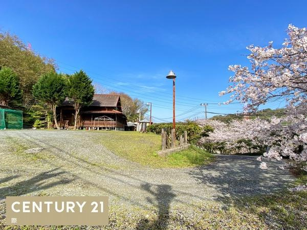 ログハウス店舗～かつらぎ町～のその他|春には桜が咲くのでお花見が楽しめます♪