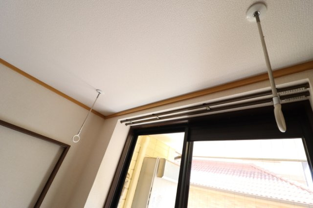 アネシスのその他