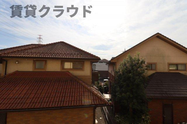 アネシスの展望