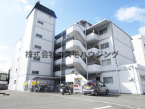 カパルアの画像