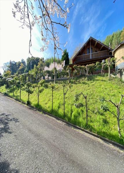 ログハウス店舗～かつらぎ町～