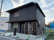 AXIAの画像