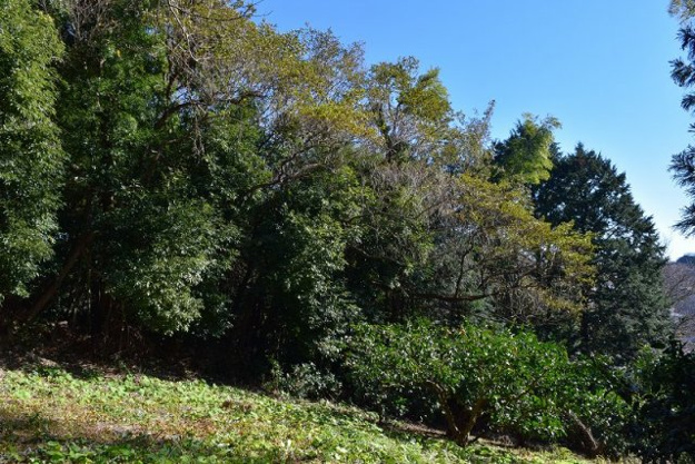 【外観】 | 伊東市荻　売地