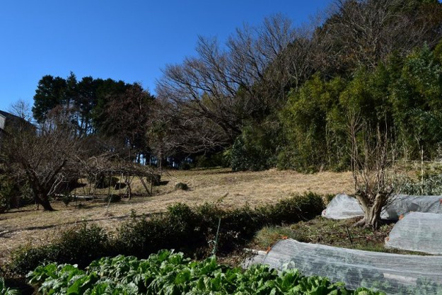 【外観】 | 伊東市荻　売地