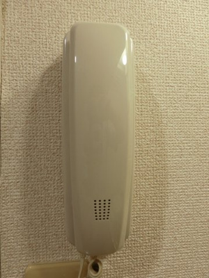 【セキュリティ】 | チェレスタ元住吉