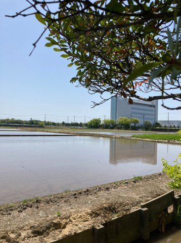 中央区南長潟　売地の周辺