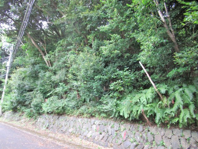 エンゼルフォレスト伊豆赤沢①温泉権利付き
