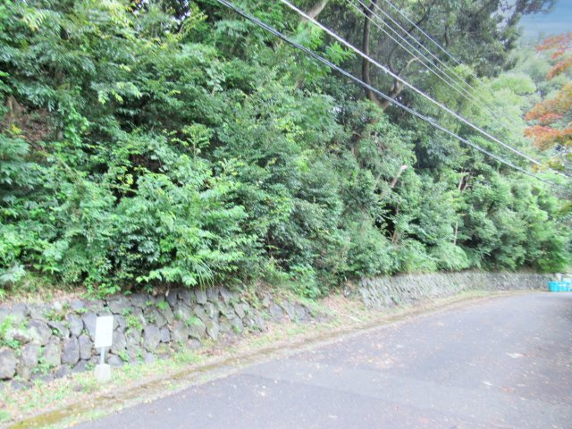 エンゼルフォレスト伊豆赤沢①温泉権利付きの前面道路含む現地写真