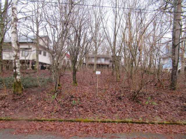 鈴蘭高原別荘地②温泉権利付きの外観