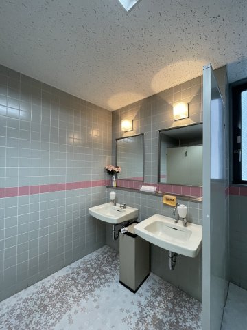 浜松元城町第一ビルディングの洗面所|女性用トイレ内