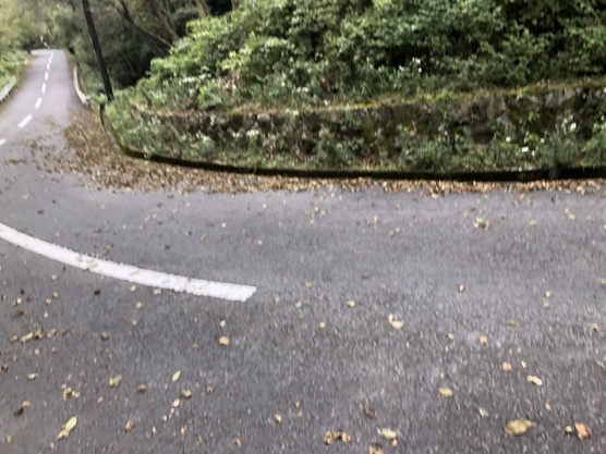 【外観】 | 東急天城高原別荘地　売地