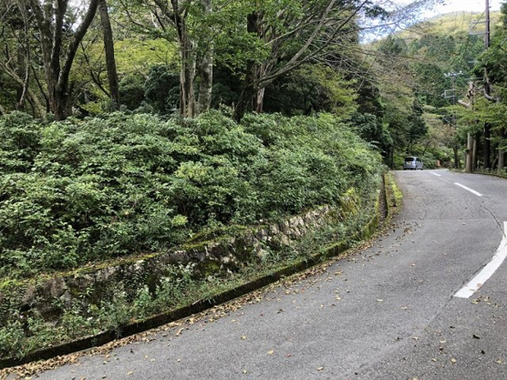 【外観】 | 東急天城高原別荘地　売地