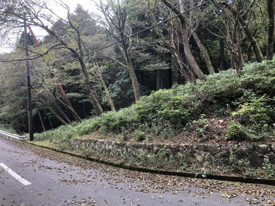 【外観】 | 東急天城高原別荘地　売地