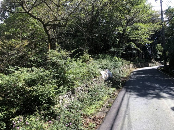 【外観】 | 東急天城高原別荘地　売地