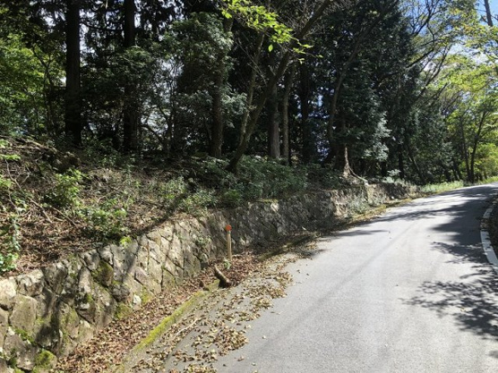 【外観】 | 東急天城高原別荘地　売地