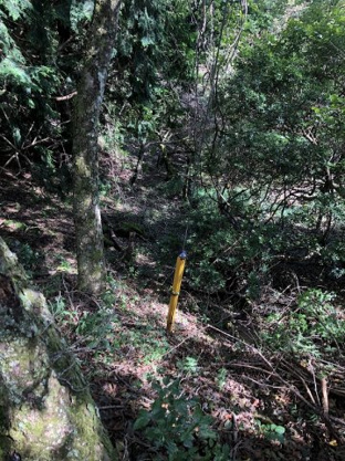 【外観】 | 東急天城高原別荘地　売地