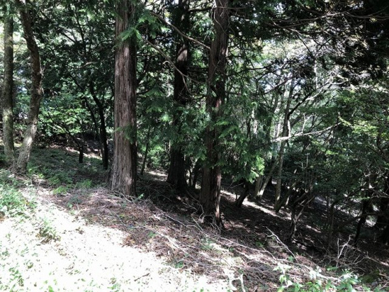 【外観】 | 東急天城高原別荘地　売地