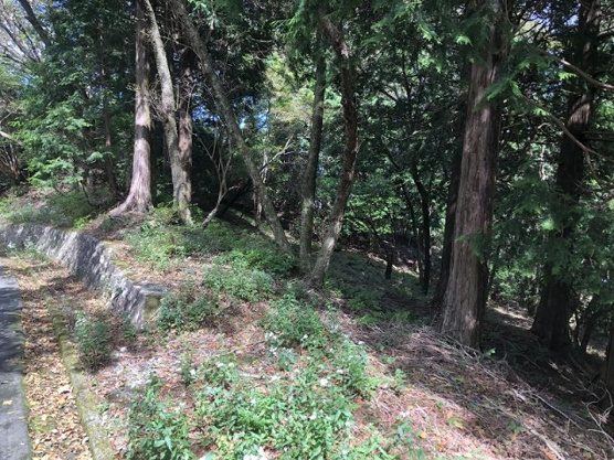 【外観】 | 東急天城高原別荘地　売地