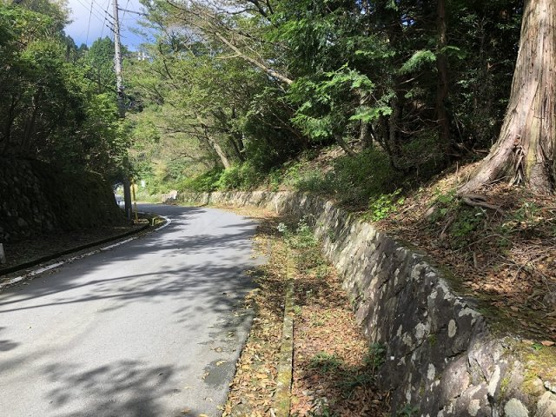 【外観】 | 東急天城高原別荘地　売地