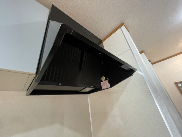 セレブ岡本のその他