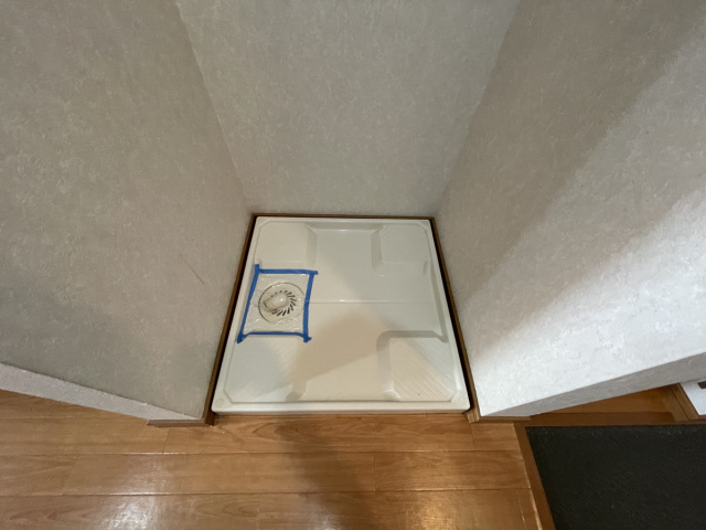 セレブ岡本のその他