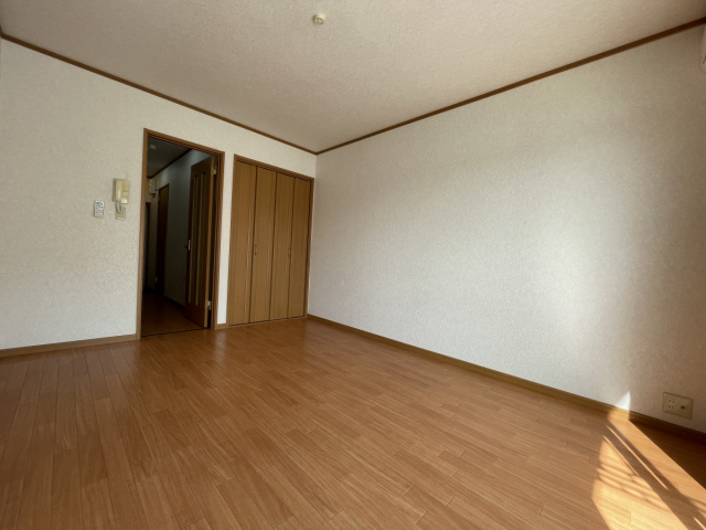 セレブ岡本のその他