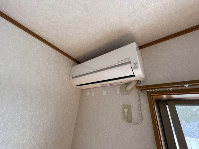 セレブ岡本のその他