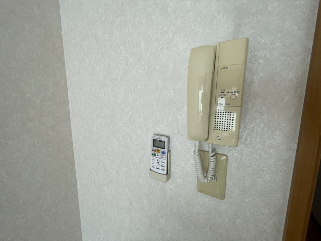 セレブ岡本のその他