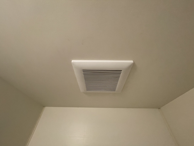 セレブ岡本のその他