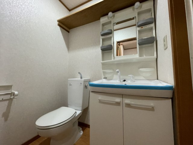 セレブ岡本の洗面所