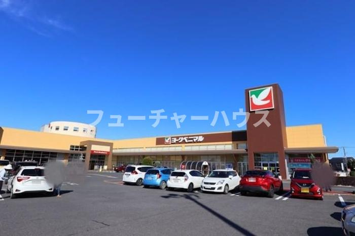 エレファントファイブの周辺