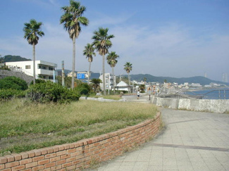 野比海岸公園まで290ｍ