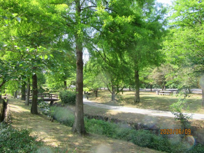 【周辺】 | ◇総社市福井土地◇泉北ニュータウン◇前面道路広い◇ | 詳細はお問い合わせください♪