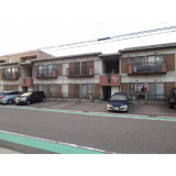 サンフラワーWの画像