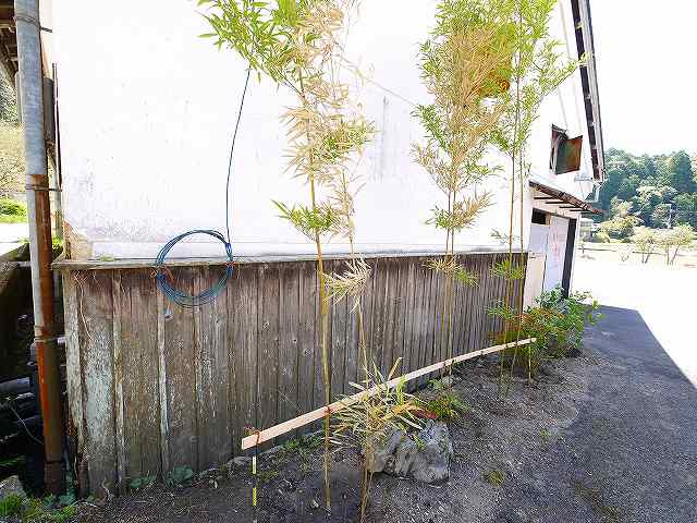 大型駐車場（資材置場）付き貸倉庫の外観