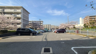 【駐車場】 | 新多聞第3住宅214号棟 | 敷地内駐車場は平面です。空き状況は都度確認が必要です。