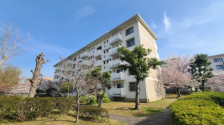 【外観】 | 敷地内には公園もあり子育て環境の整った新多聞第三住宅の1階角部屋です。