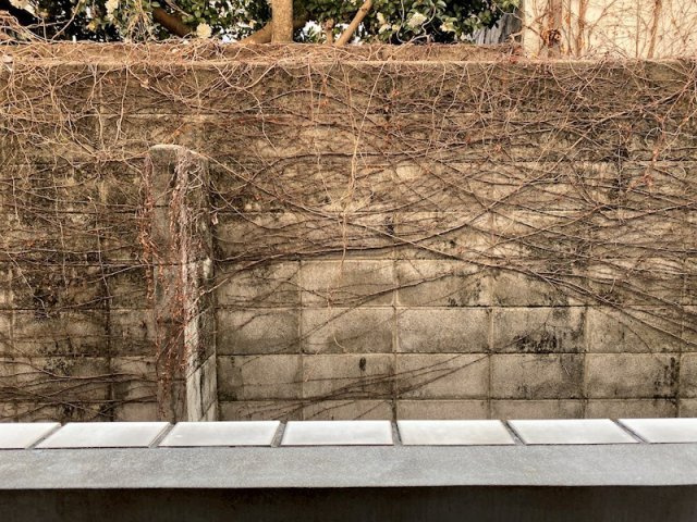 壬生ハイツの展望