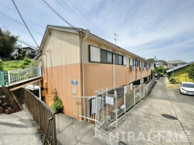 【その他】 | ヤングタウン