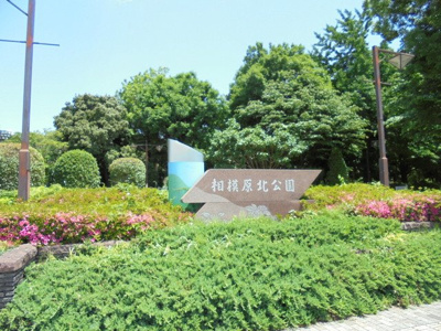 相模原北公園まで1000ｍ