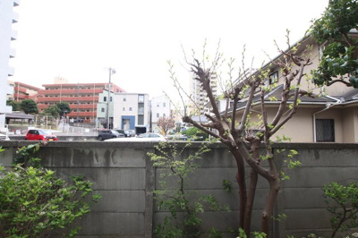 景色