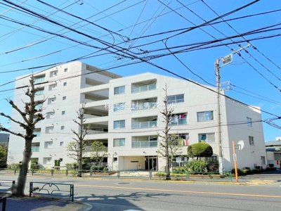 【外観】 | アイビハイツ柴又