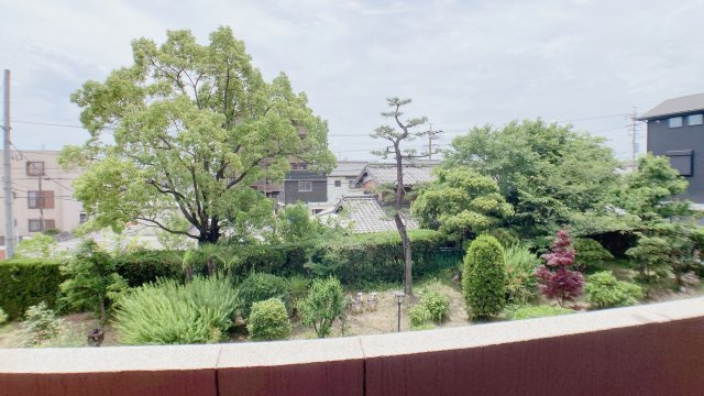 プライベート・フォレストの展望